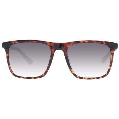 Police Sunglasses SPLF17 0978 54