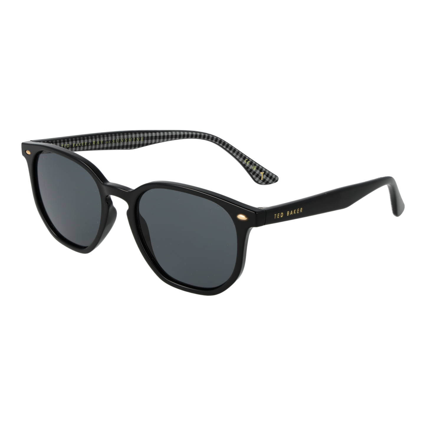 Ted Baker Sunglasses TB1655 001 52