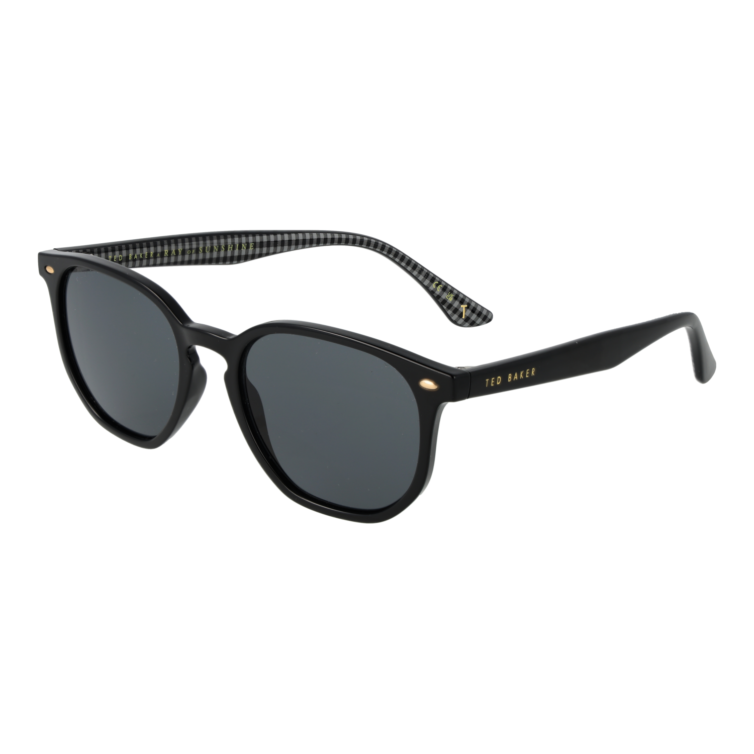 Ted Baker Sunglasses TB1655 001 52